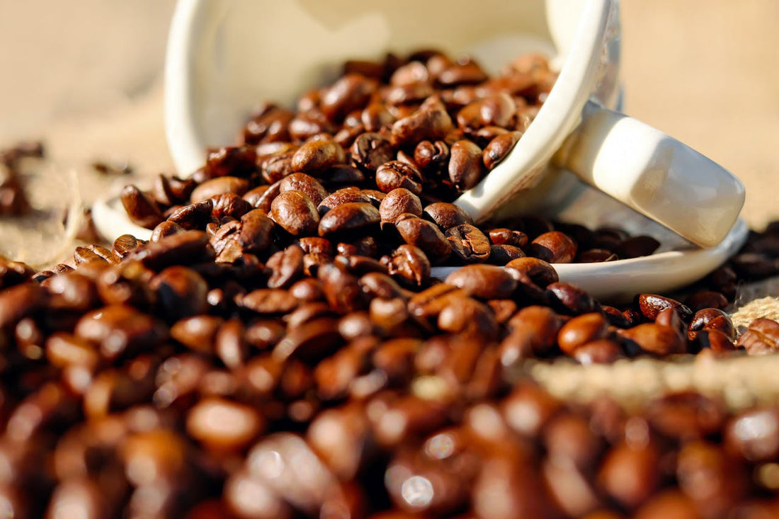 6 Reasons Why Organic Coffee Subscriptions Are Worth Every Penny
